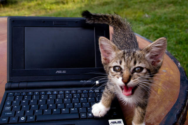 Not helping...