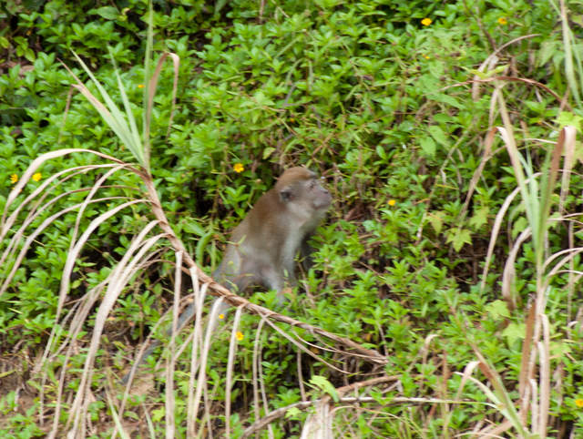 DSC_0023.jpg
