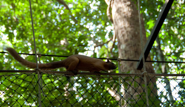 DSC_0046.jpg