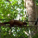 DSC_0046.jpg