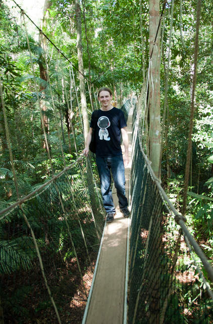 I'm a celebrity...