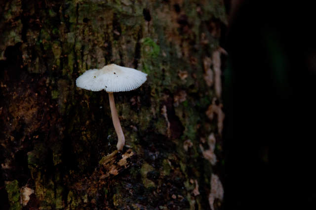 DSC_0116.jpg