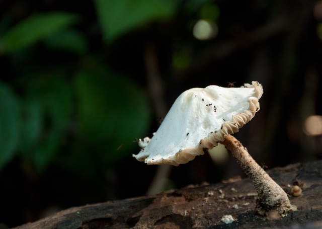 DSC_0119.jpg