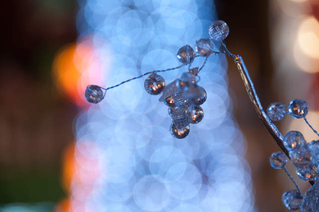 DSC_0302.jpg
