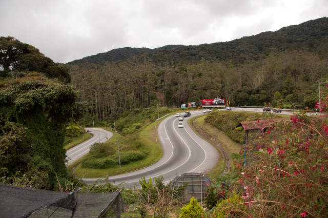 DSC_0353.jpg