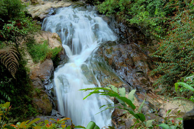 Robinson Falls, Tanah Rata