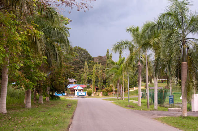 DSC_0004.jpg