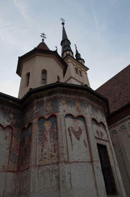 DSC_0206.jpg