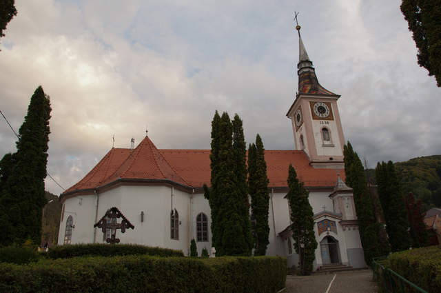 DSC_0207.jpg