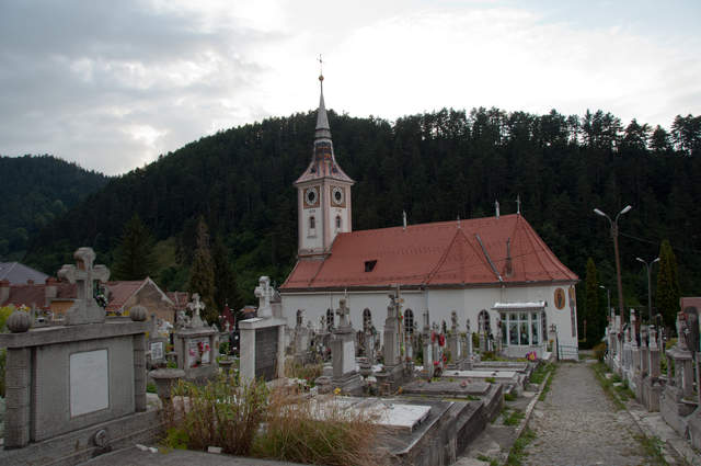 DSC_0208.jpg