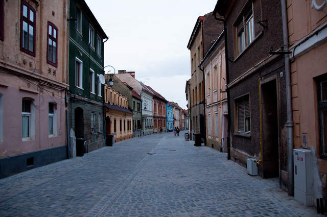 DSC_0227.jpg