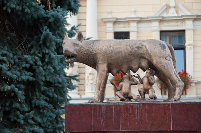 DSC_0113.jpg