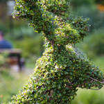 DSC_0037.jpg