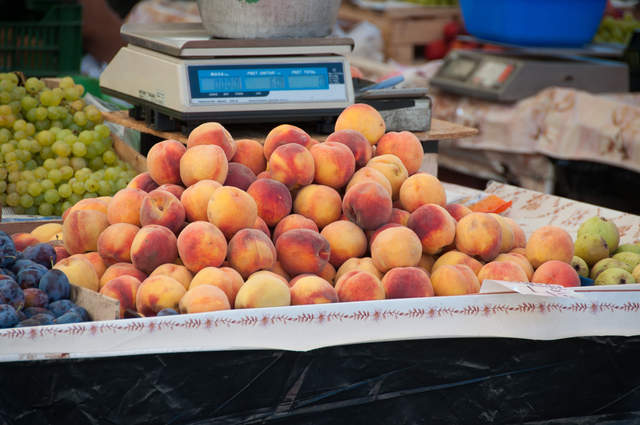 DSC_0412.jpg