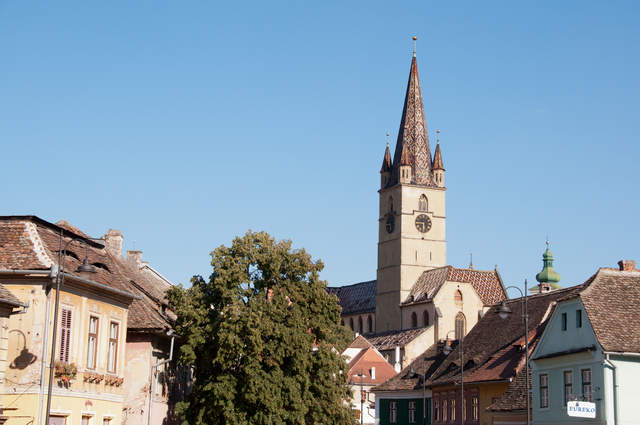 DSC_0416.jpg