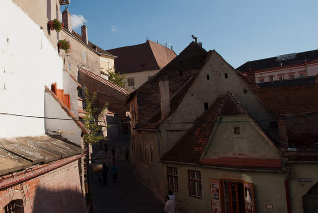 DSC_0419.jpg