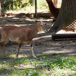 DSC_0430.jpg