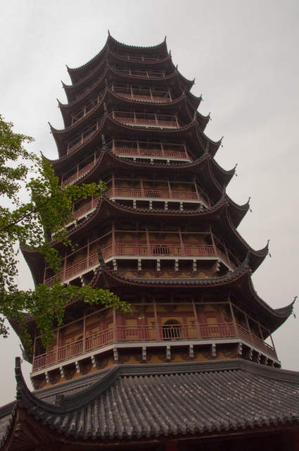 DSC_0093.jpg