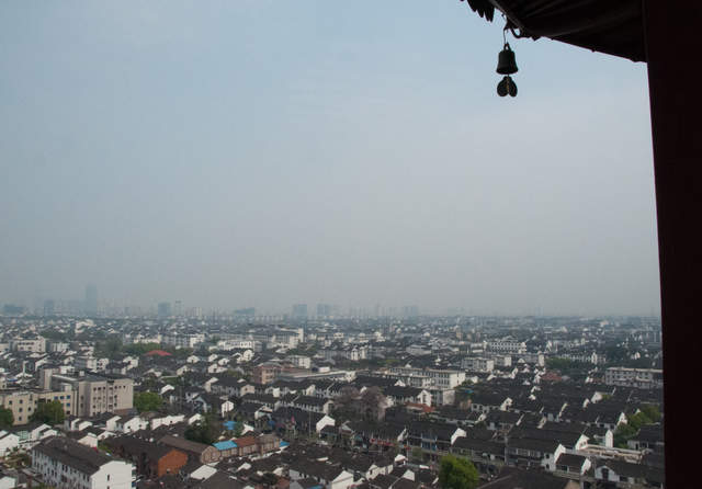 DSC_0130.jpg