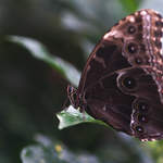DSC_0008-2.jpg