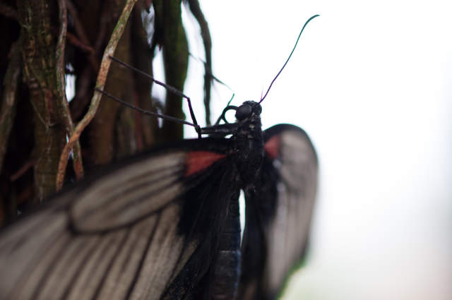 DSC_0043.jpg