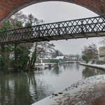 Woodbridge Meadows
