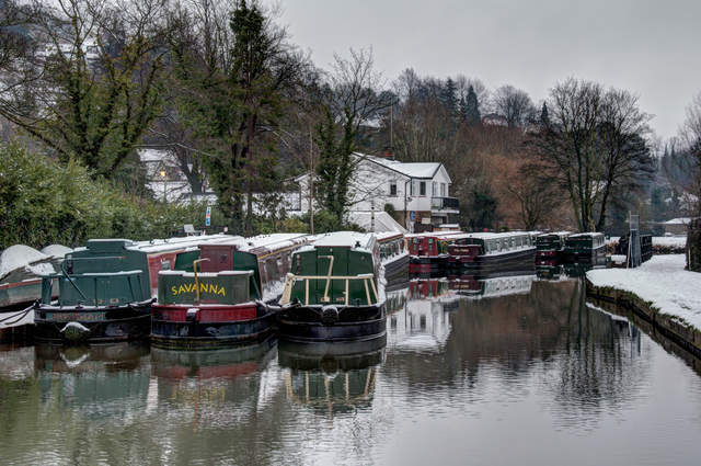 DSC_0428_2.jpg