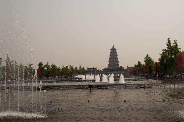 DSC_0025.jpg