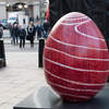 The Egg Race
