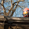 Humpty Dumpty
