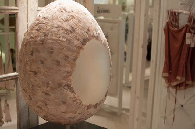 What Came First, the Chicken or the Egg?