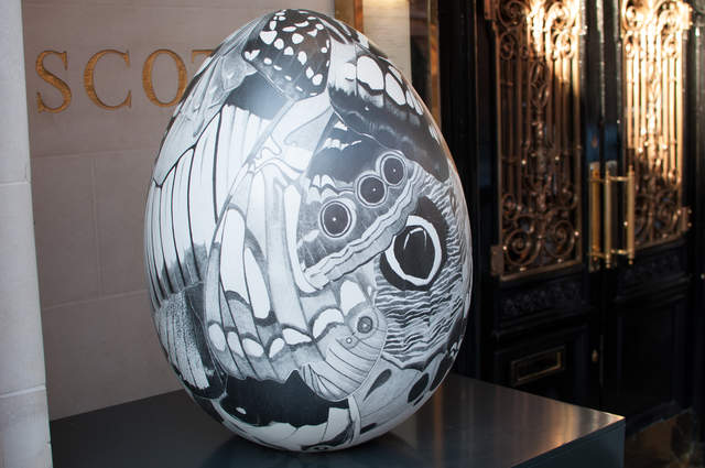 Butterfly Effect Egg