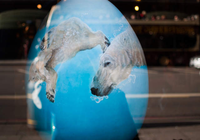 Polar Bear Ballet