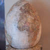 Caeruleus & The Good Egg