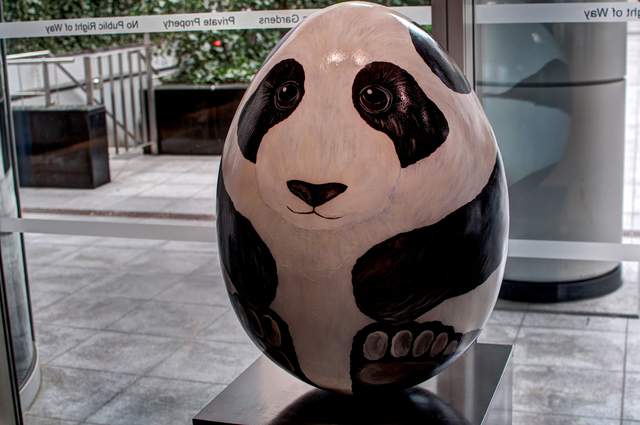 Panda