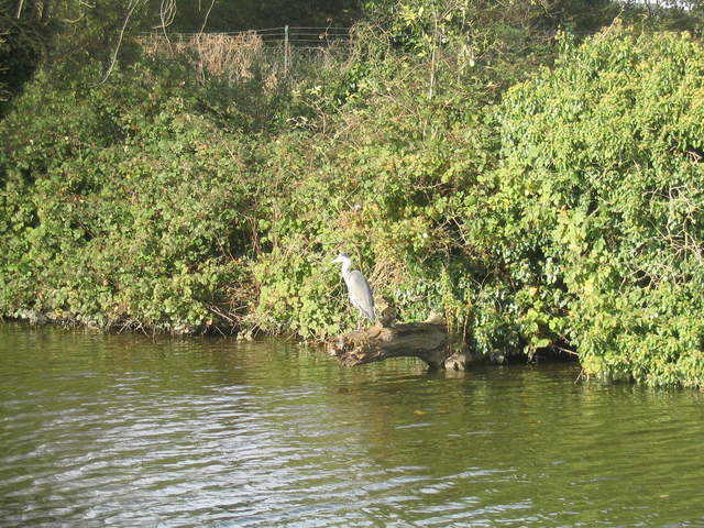 bourne_end 007.jpg