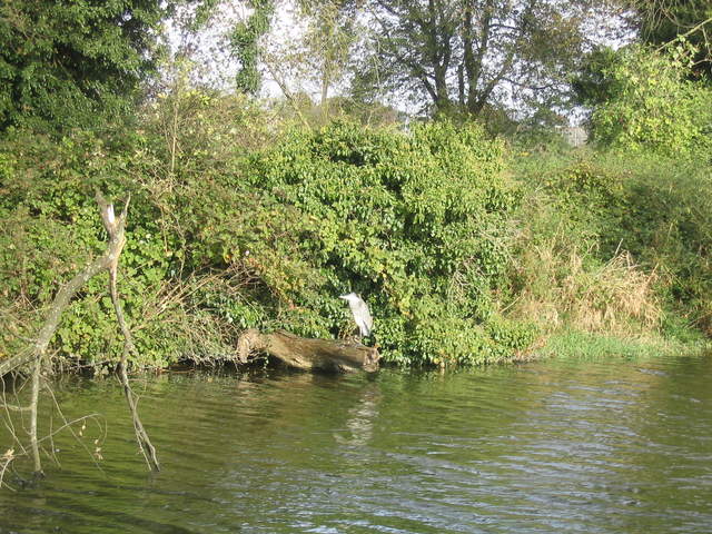 bourne_end 008.jpg