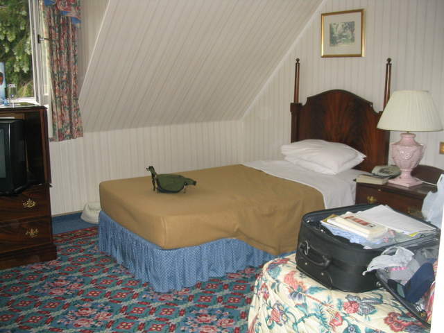 usa2004 002.jpg
