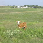 usa2004 042.jpg