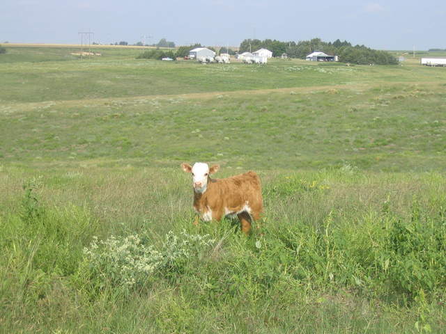 usa2004 042.jpg