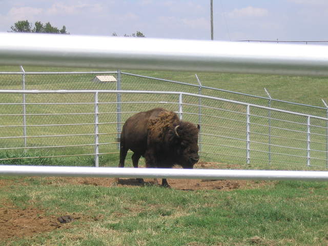 usa2004 059.jpg