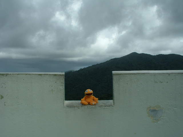 Made it to the top of the Yokahu Tower, look at that view