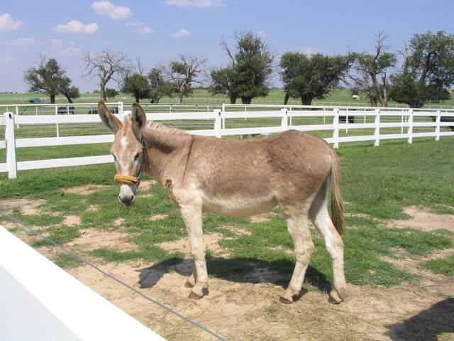 usa2004 060.jpg