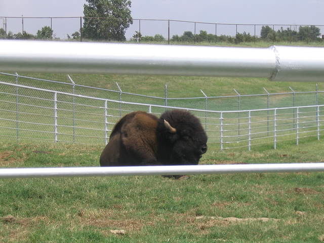 usa2004 061.jpg