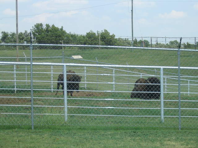 usa2004 062.jpg