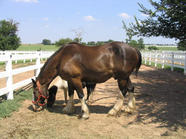 usa2004 064.jpg