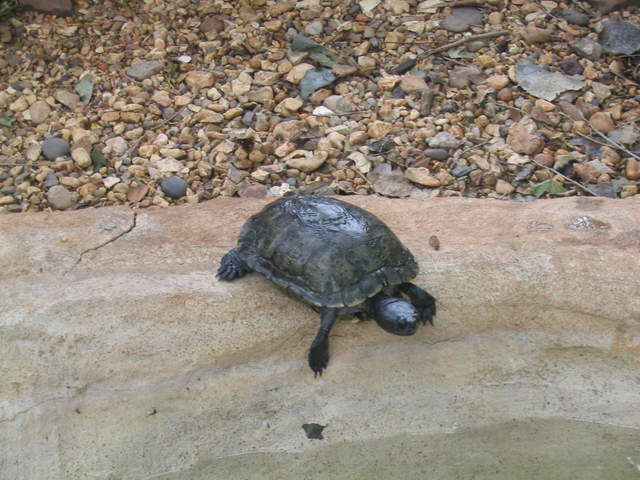 usa2004 068.jpg