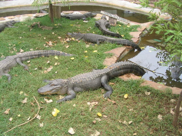 usa2004 073.jpg
