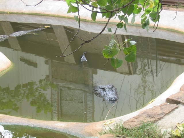usa2004 075.jpg