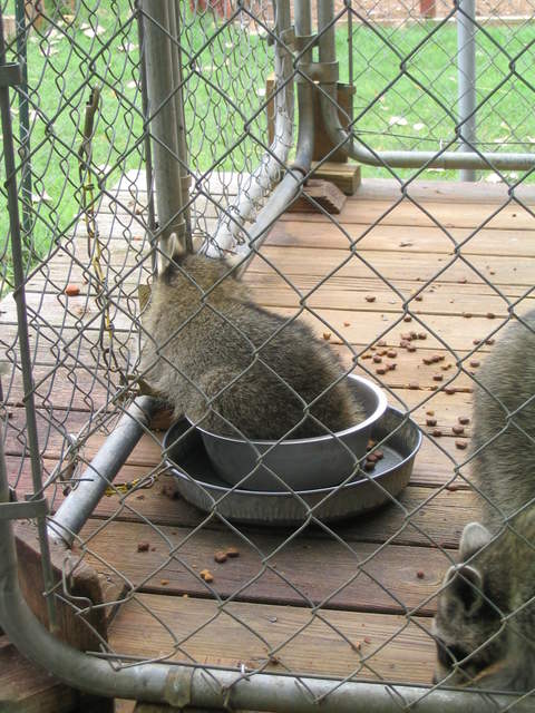 usa2004 076.jpg